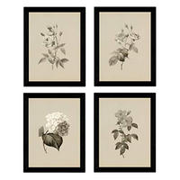 POSTER Set mit 4 Botanischen Stils Rosa weich Jahrgang Hintergrund A3 Rahmenlos - Klar, Papier (29.7/3cm) - Nacnic