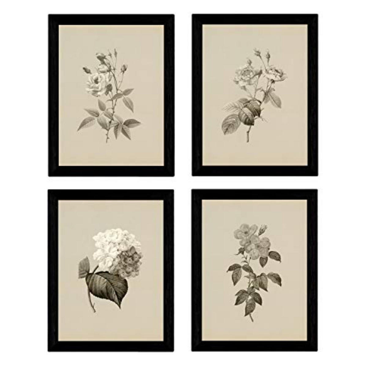 POSTER Set mit 4 Botanischen Stils Rosa weich Jahrgang Hintergrund A3 Rahmenlos - Klar, Papier (29.7/3cm) - Nacnic
