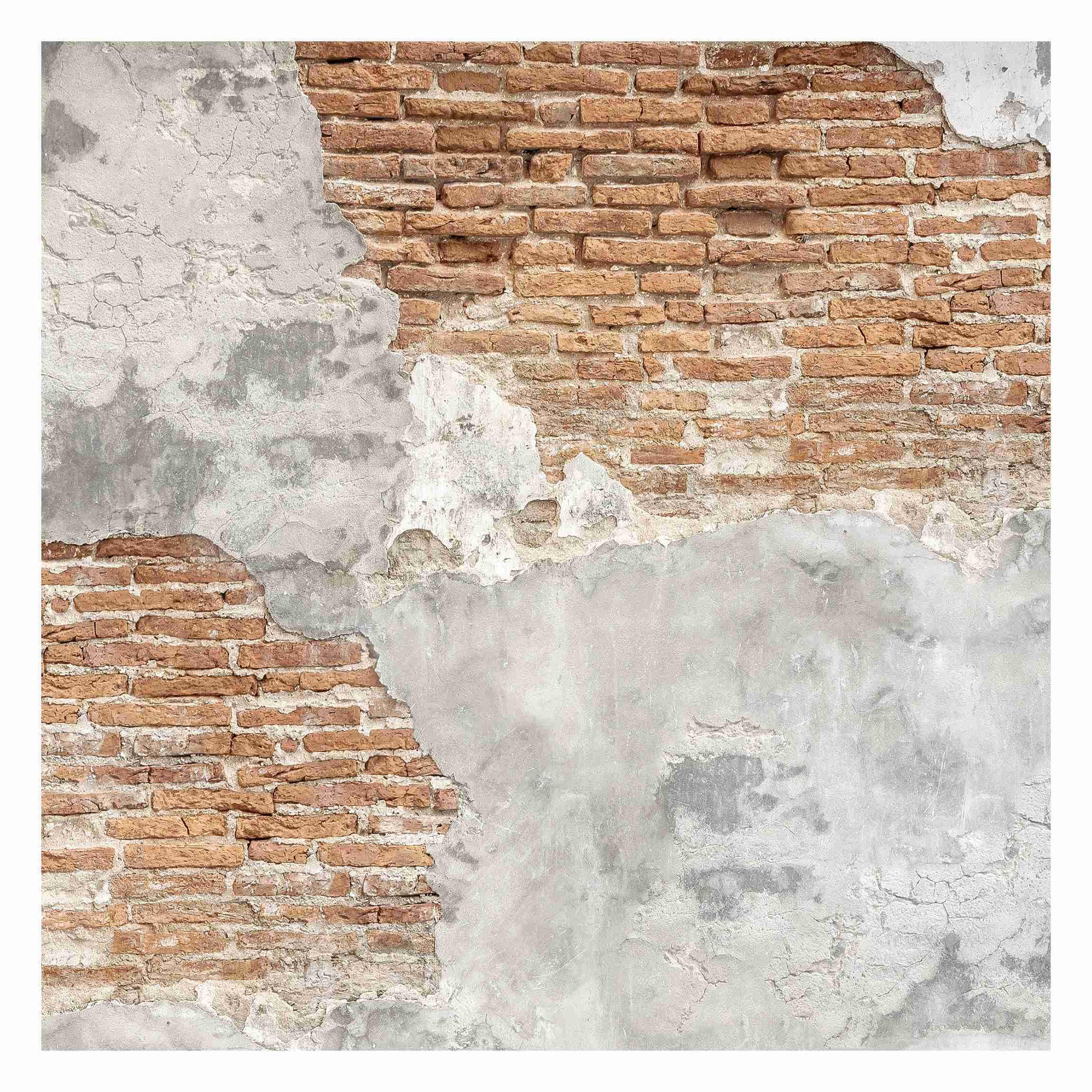 FOTOTAPETE Shabby Backstein Wand 240/240 cm - Braun, Papier (240/240cm) - Bilderwelten