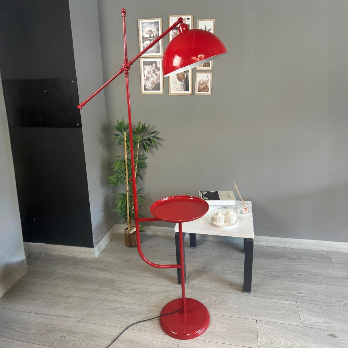 STEHLAMPE Raxon 165 Cm - Rot, Metall (30/30/165cm) - Bamyum