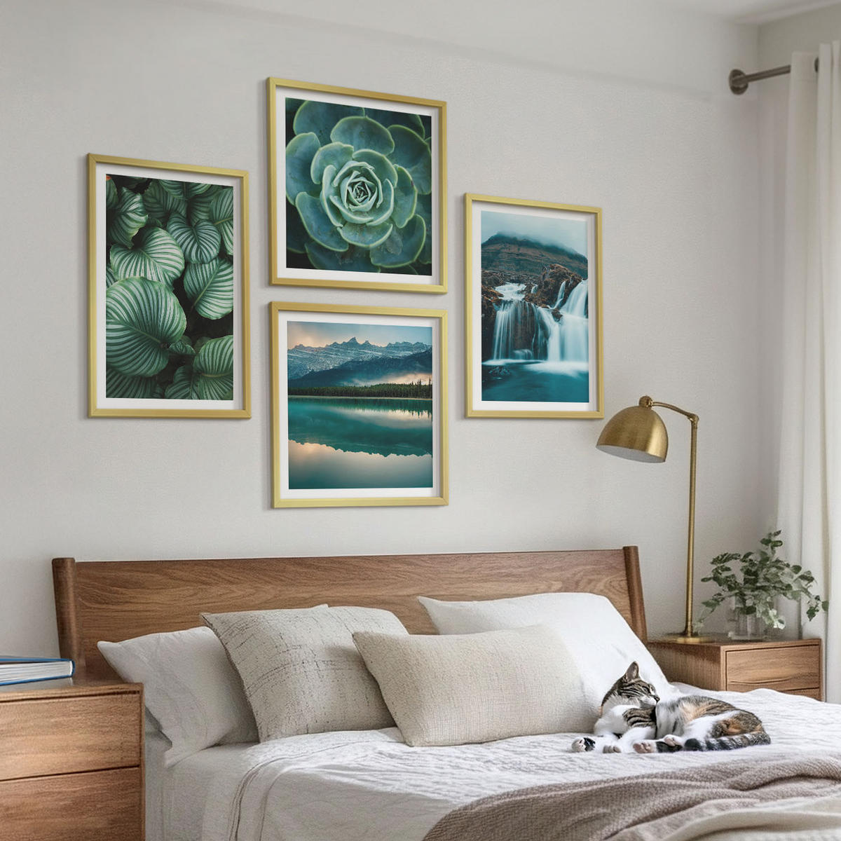 WANDBILDER 4er Set - 50x50 cm & 40x60 cm Goldrahmen - Nahaufnahmen von Blättern sukkulenter Pflanzen - Goldfarben, Kunststoff (50/50cm) - ArtPrintCave