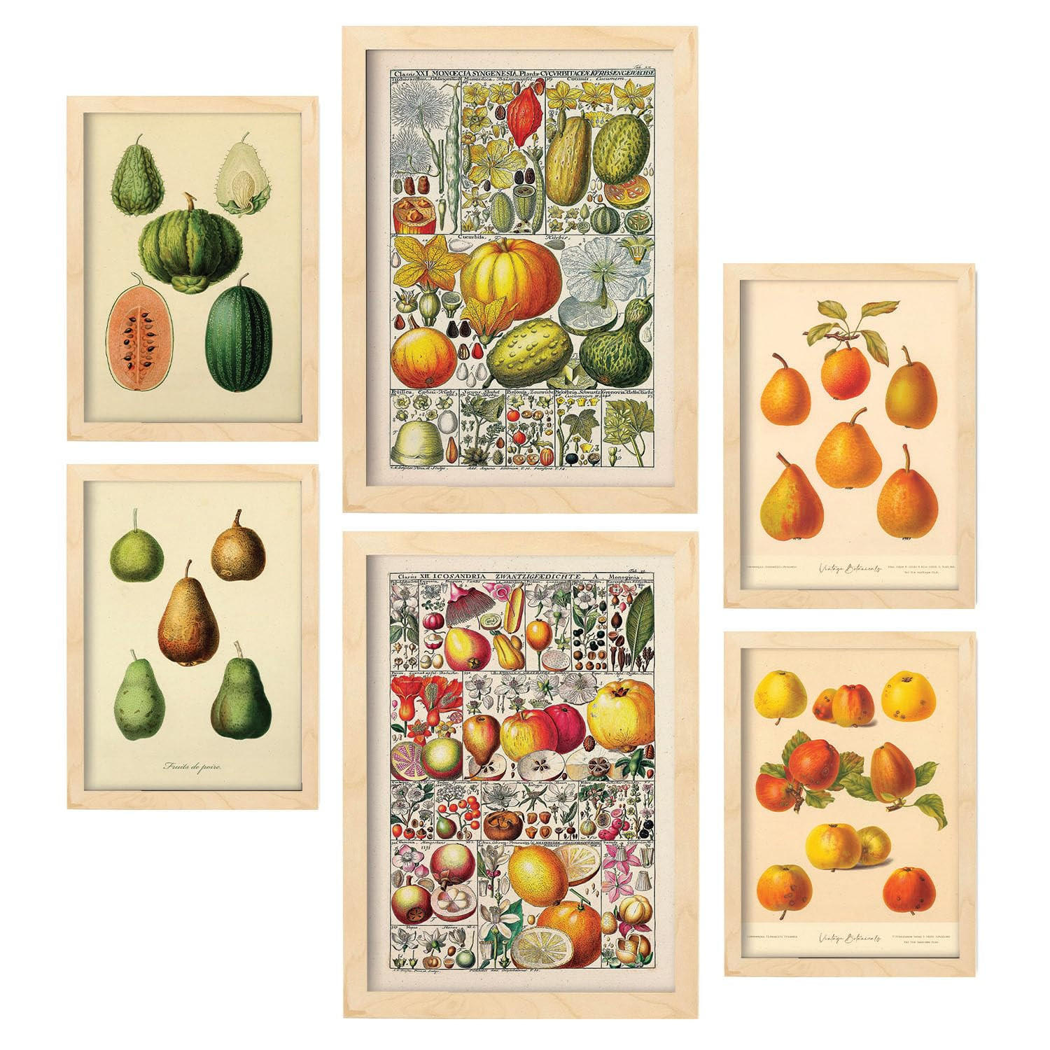 POSTER Set Mit 6 Mischen In Vintage A3 & A4 Rahmen Aus Hellem Holz - Beige, Papier (29/3cm) - Nacnic