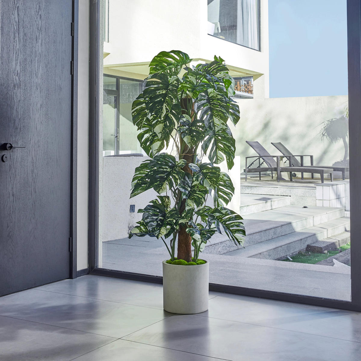 KUNSTPFLANZE Künstlicher Split-Philodendron – Elowen 150 cm - Naturfarben, Kunststoff (150cm) - aplanta