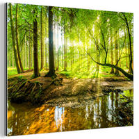 METALLBILD Wald - Landschaft - Wasser - Bäume - Sonne - Grün - Natur 40x30 cm - Grün, Metall (40/30cm) - MuchoWow