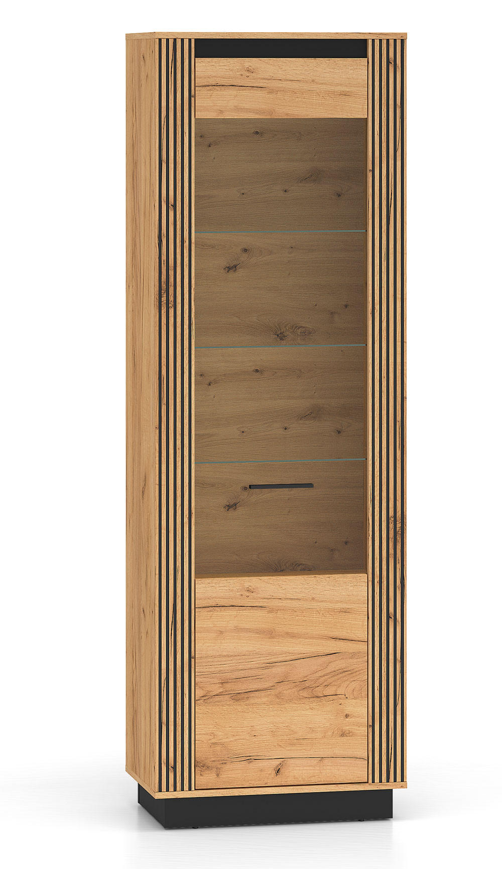 Feldmann-Wohnen Vitrine Braun, Schwarz 65x200x40 cm