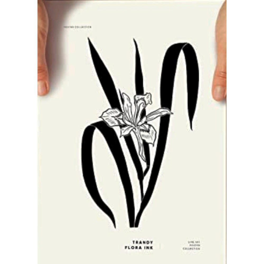 POSTER Airplant Tinten-Stil A4 Rahmenlos - Klar, Papier (29.7/5/21cm) - Nacnic