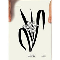POSTER Airplant Tinten-Stil A4 Rahmenlos - Klar, Papier (29.7/5/21cm) - Nacnic