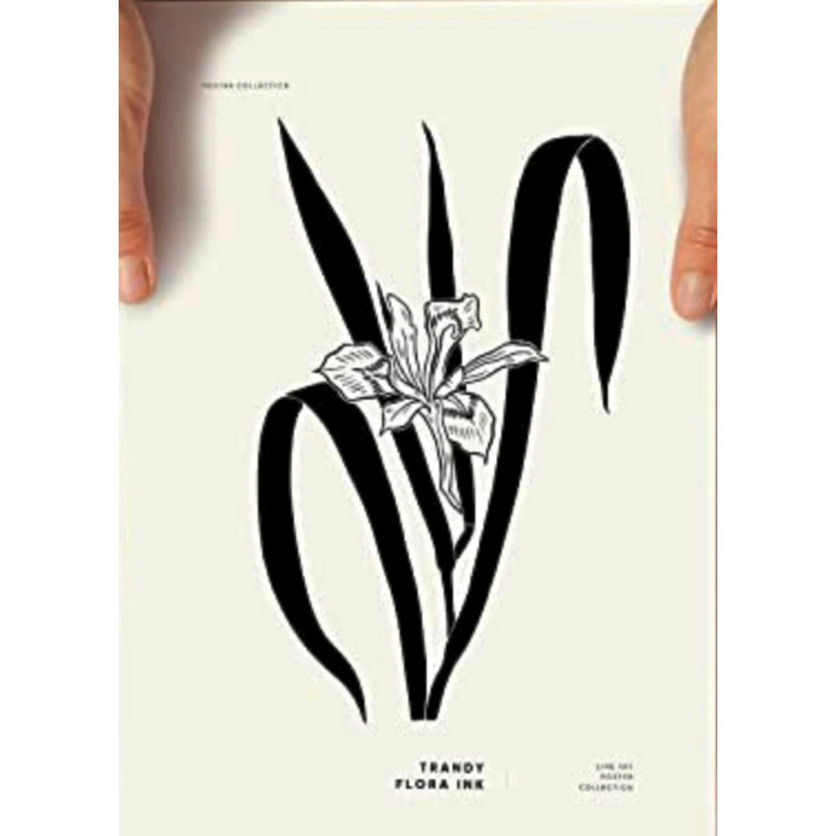 POSTER Airplant Tinten-Stil A4 Rahmenlos - Klar, Papier (29.7/5/21cm) - Nacnic