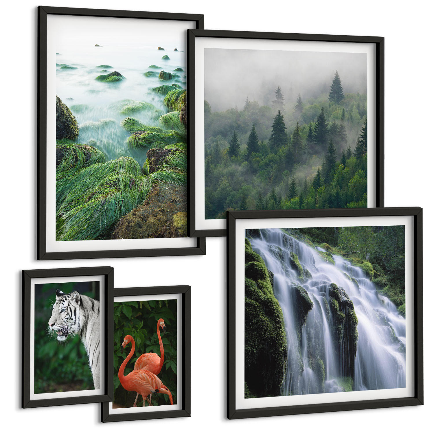 BILDER SET 5er Set - 50x50 cm & 20x30 cm & 40x60 cm Schwarzer Rahmen - Tiger Wasserfall Flamingos Natur - Schwarz, Kunststoff (40/60cm) - TULUP