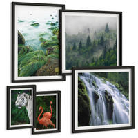 BILDER SET 5er Set - 50x50 cm & 20x30 cm & 40x60 cm Schwarzer Rahmen - Tiger Wasserfall Flamingos Natur - Schwarz, Kunststoff (40/60cm) - TULUP