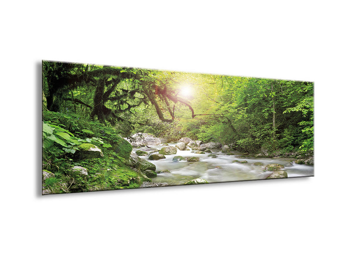 GLASBILD 80x30 cm Wald Grün - Beige, Glas (80/30cm) - artissimo