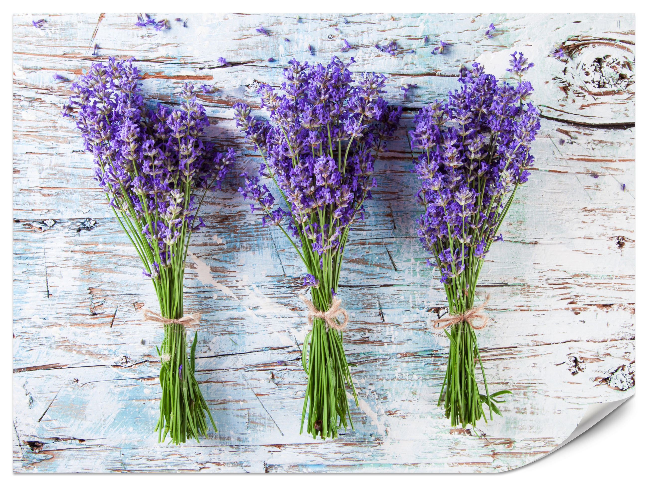 FOTOTAPETE für Küche Lavendelblüten Lila Holz Rustikal 250x175 - Violett/Weiß, Papier (250/175cm) - Muralo