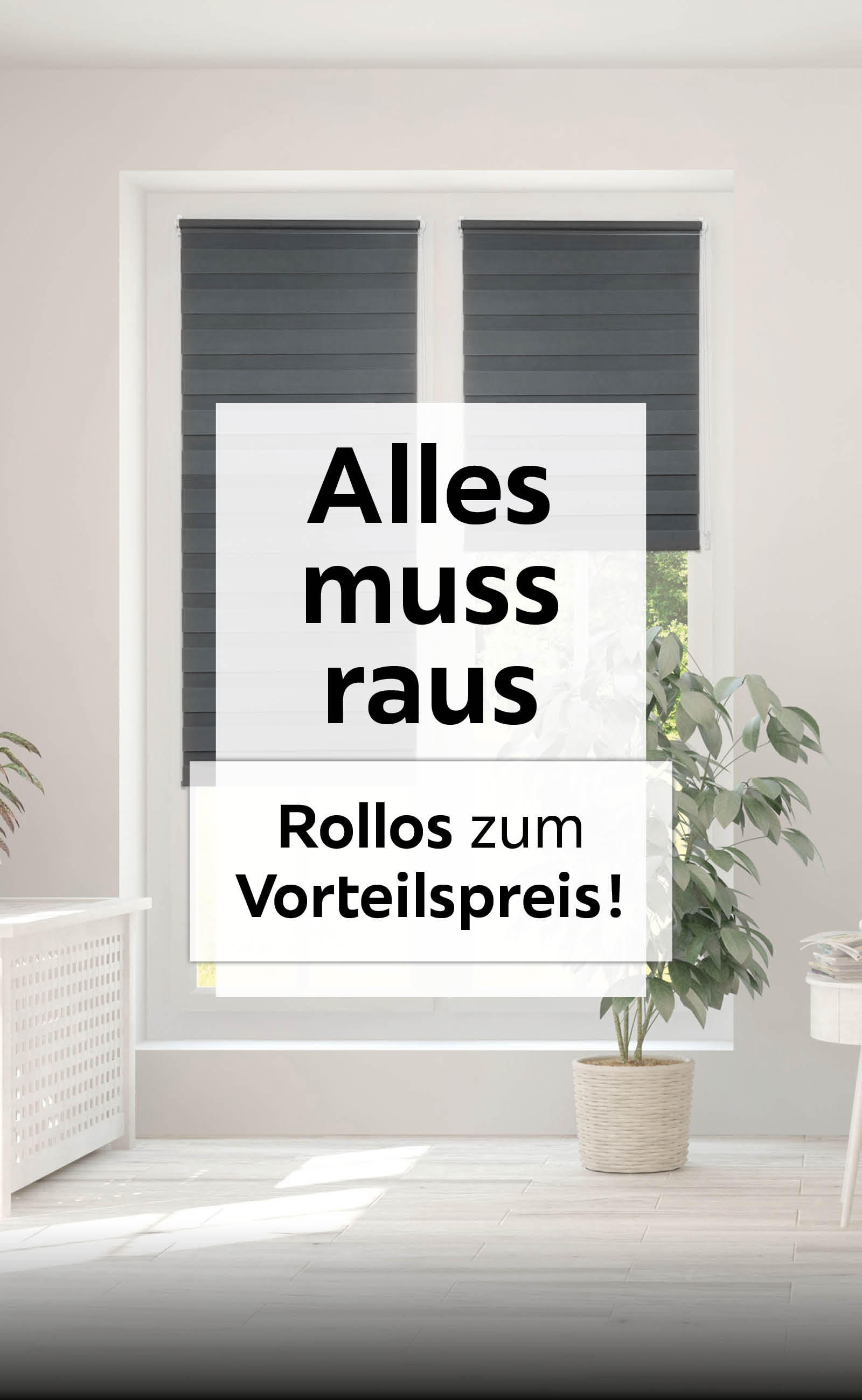 Alles muss raus - Rollos zum Vorteilspreis!