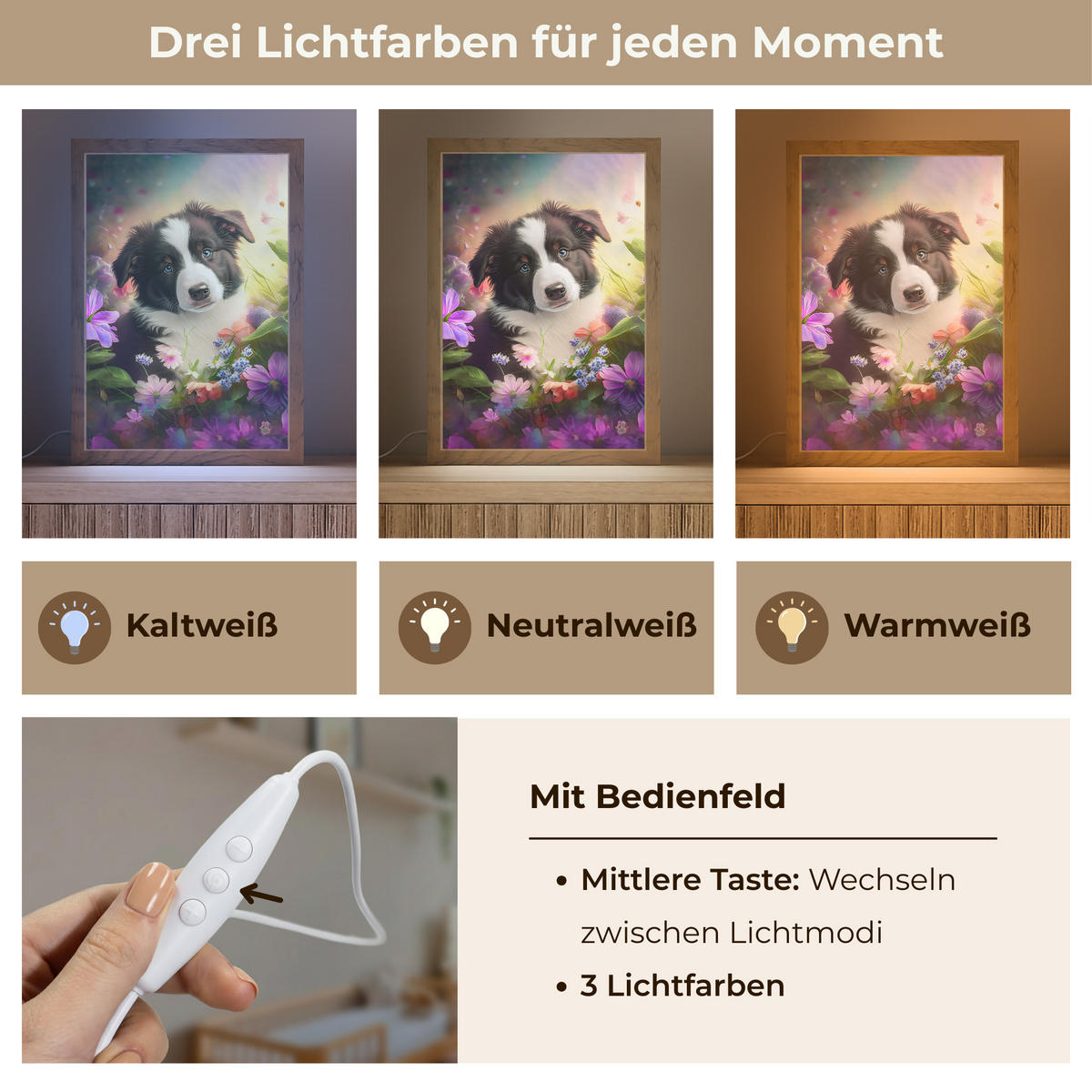 NACHTTISCHLAMPE Welpe - Sonne - Blumen - Natur - Border Collie - Hund 20x30 cm - Violett, Holzwerkstoff (8/20/30cm)