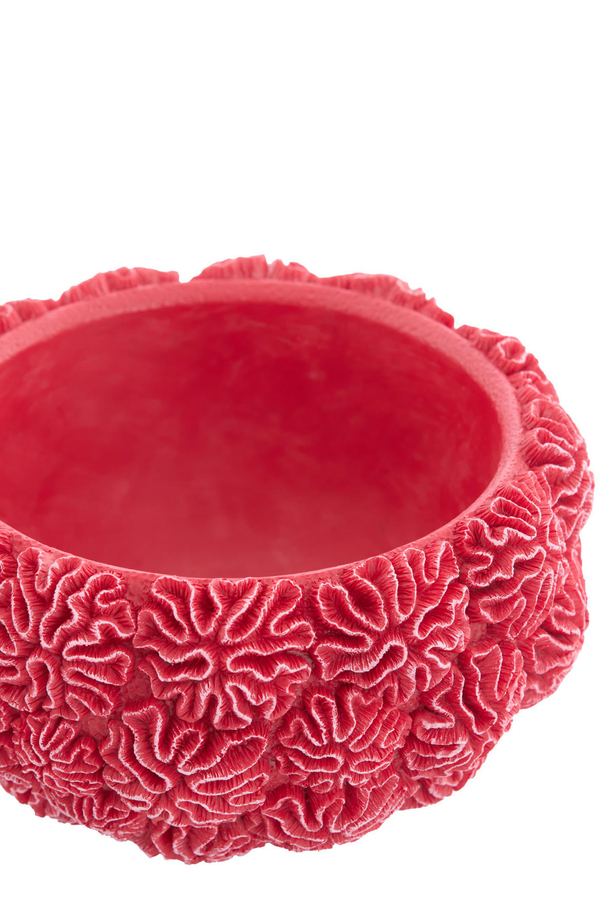 DEKO-DOSE Coral Rot Ø20/15,5 cm - Rot, Kunststoff (20/15.5/20cm) - Light & Living