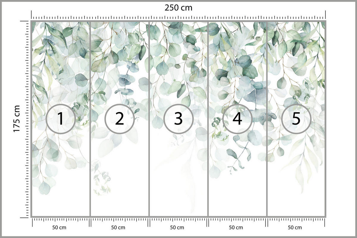 FOTOTAPETE Aquarell Eukalyptusblätter Pflanzen Natur 250x175 - Weiß/Grün, Papier (250/175cm) - Muralo