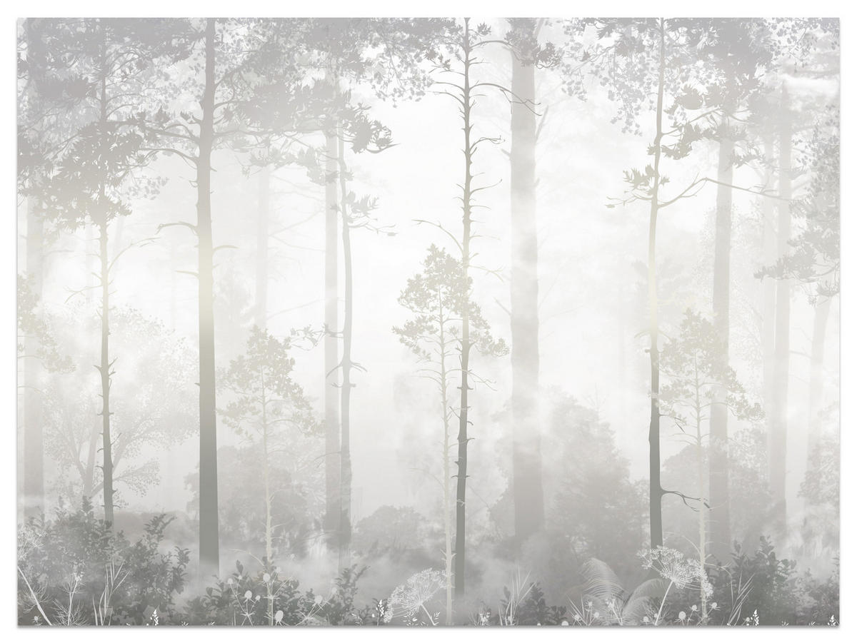 FOTOTAPETE für Schlafzimmer Nebliger Wald Bäume Sträucher Mystik 300x210 - Beige/Weiß, Papier (300/210cm) - Muralo