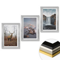 WANDBILDER 3er Set - 20x30 cm Silberner Rahmen - Wilde Berglandschaften - Silberfarben, Kunststoff (20/30cm) - ArtPrintCave