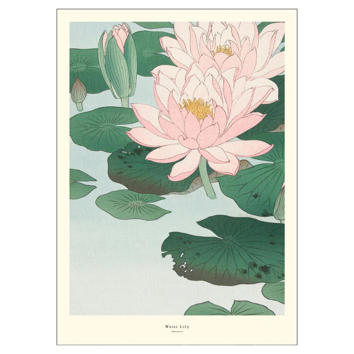 POSTER A.P. Atelier - Water Lily - Grün, Papier (30/40/0.1cm) - Poster&Frame