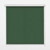 VNÚTORNÁ roleta - okenná roleta - roleta - 60x140 cm - Zelená - zelená, plast (60/140/0.5cm) - TULUP