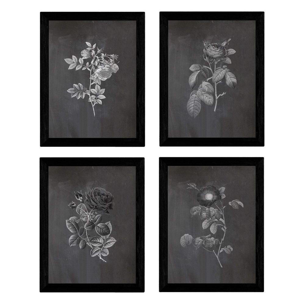 POSTER Set mit 4 Botanischen Stils Rosenkranz Schwarz A3 Rahmenlos - Klar, Papier (29.7/3cm) - Nacnic