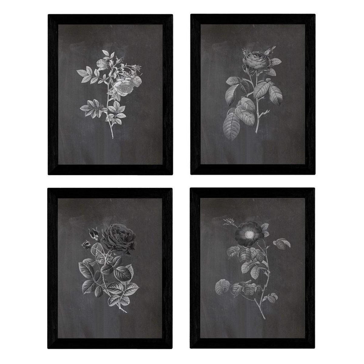 POSTER Set mit 4 Botanischen Stils Rosenkranz Schwarz A3 Rahmenlos - Klar, Papier (29.7/3cm) - Nacnic