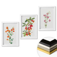 WANDBILDER 3er-Set - 20x30 cm Weißer Rahmen - Vintage-Retro-Blumenmalerei - Weiß, Kunststoff (20/30cm) - ArtPrintCave