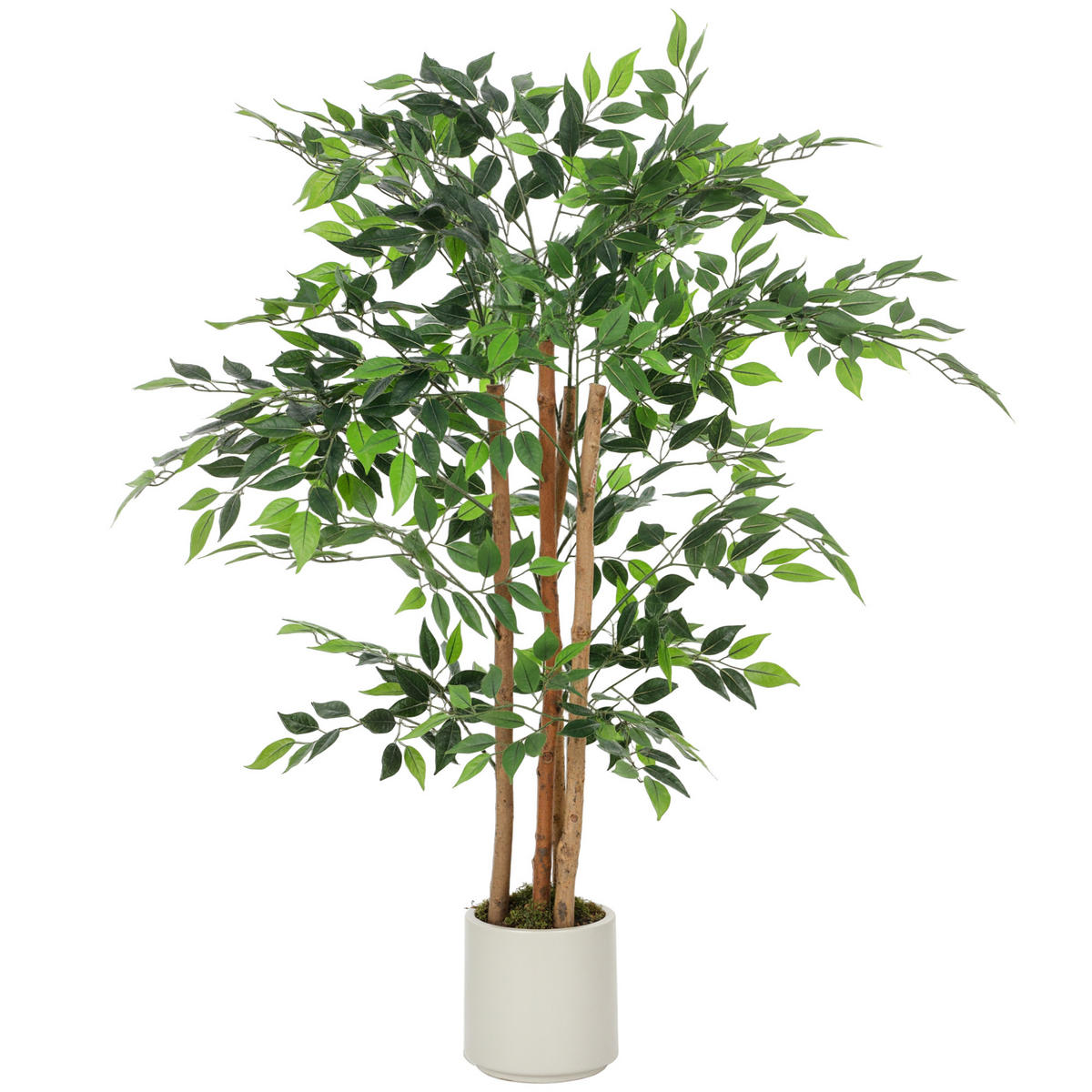 KÜNSTLICHE Pflanzen Grün 55.0/55.0/120.0cm - Grün, Kunststoff (120cm)
