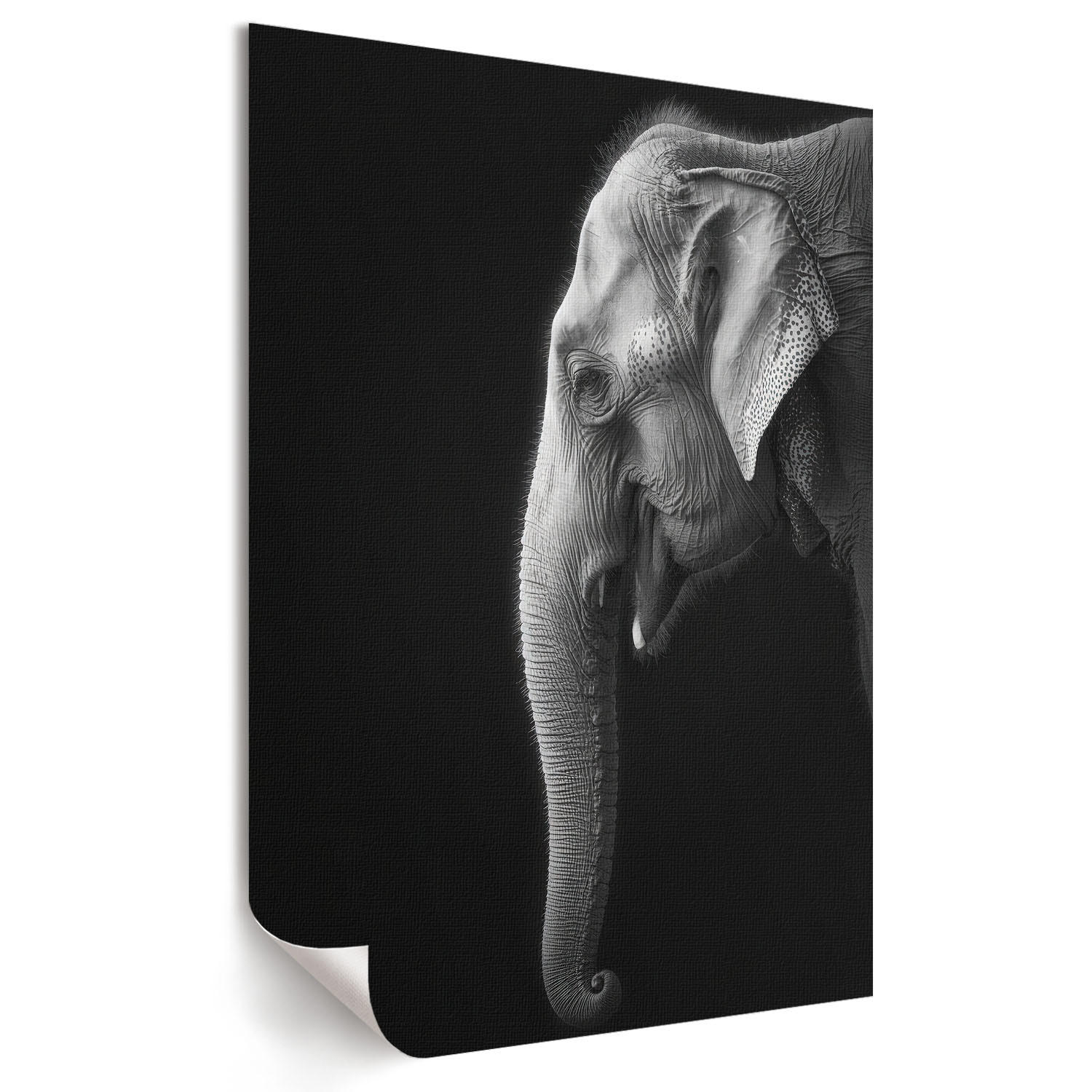 POSTER - 29x42 cm - Visual Echo - Profil eines Elefanten - Weiß, Textil (29/42/0.1cm) - TULUP