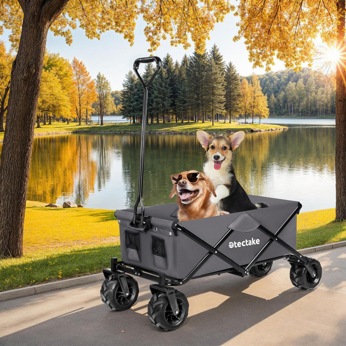 BOLLERWAGEN Heidrun, inklusive Tragetasche, Belastbarkeit 80 kg, grau - Grau, Textil (51/120.5/114cm) - tectake