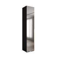 DREHTÜRENSCHRANK 236.7/50/47 1-türig - Goldfarben/Schwarz, Holz/Metall (50/236.7/47cm) - Abiks Möbel