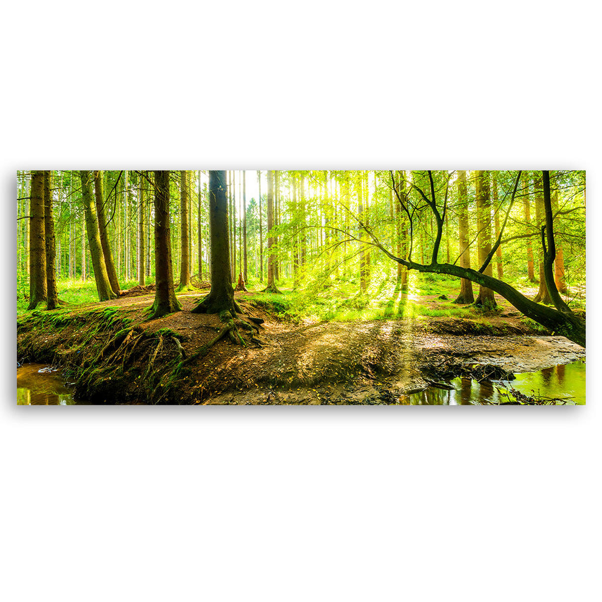 WANDBILD grüner wald - Grün, Textil (90/30cm) - Feeby