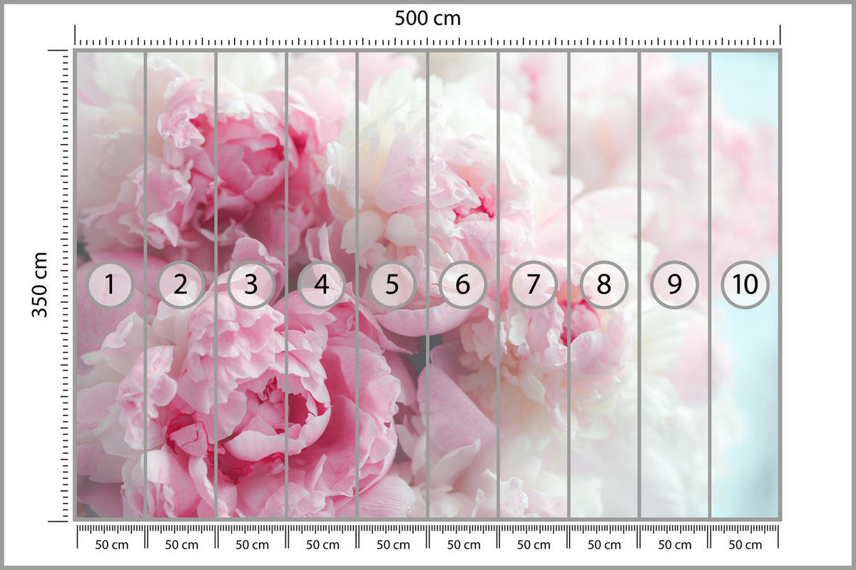 FOTOTAPETE Blumen Pfingstrosen Natur 3D 500x350 - Blau/Rosa, Papier (500/350cm) - Muralo