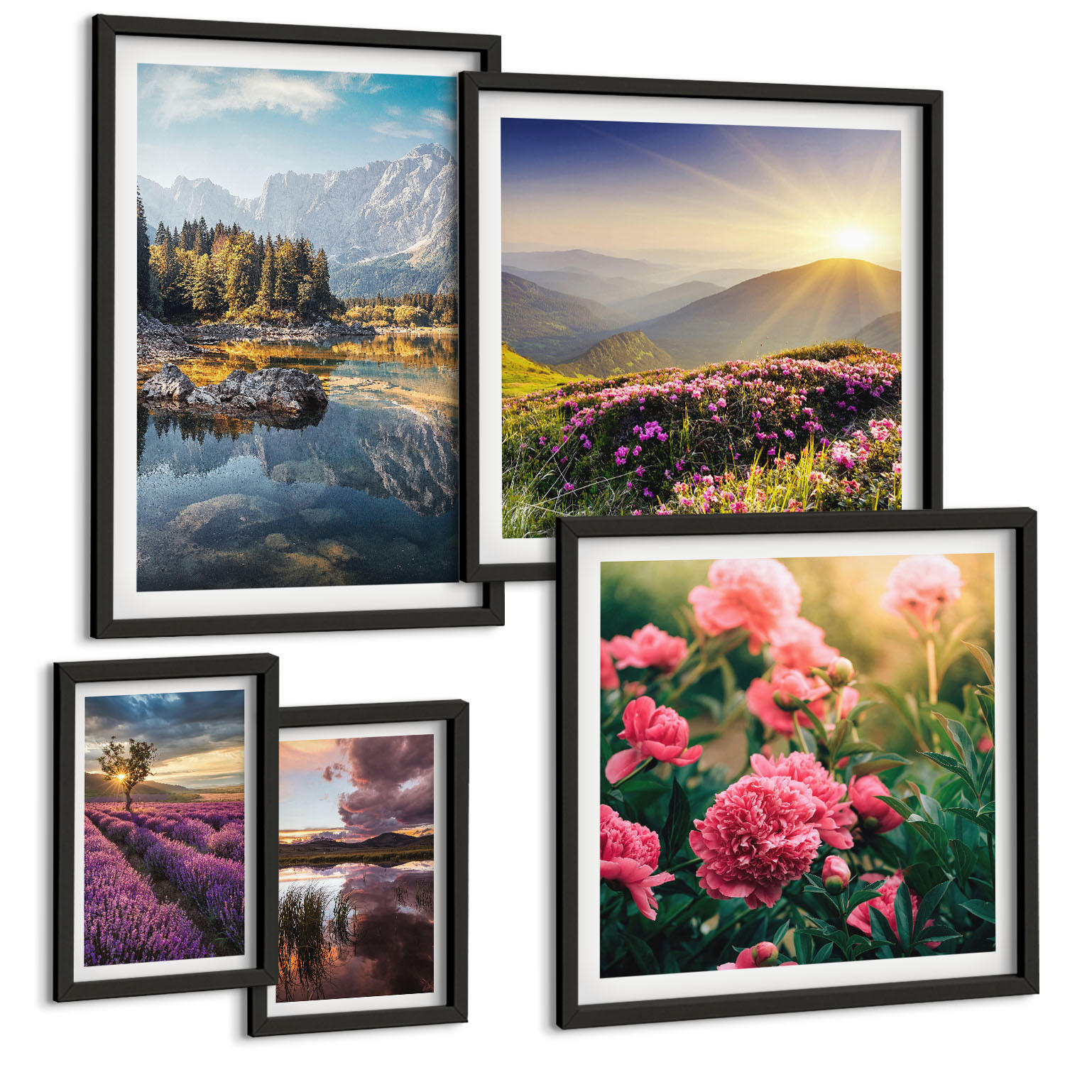 BILDER SET 5er Set - 50x50 cm & 20x30 cm & 40x60 cm Schwarzer Rahmen - Blumengarten, Bergwiese, Wasser - Schwarz, Kunststoff (40/60cm) - TULUP