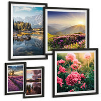 BILDER SET 5er Set - 50x50 cm & 20x30 cm & 40x60 cm Schwarzer Rahmen - Blumengarten, Bergwiese, Wasser - Schwarz, Kunststoff (40/60cm) - TULUP
