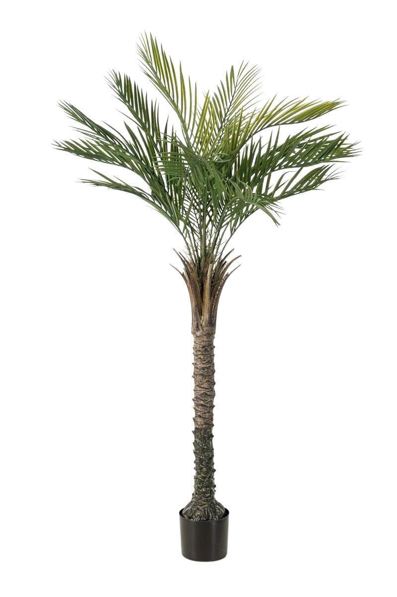 KÜNSTLICHE Palme - Penny 150 cm - Grün, Kunststoff (150cm) - Emerald