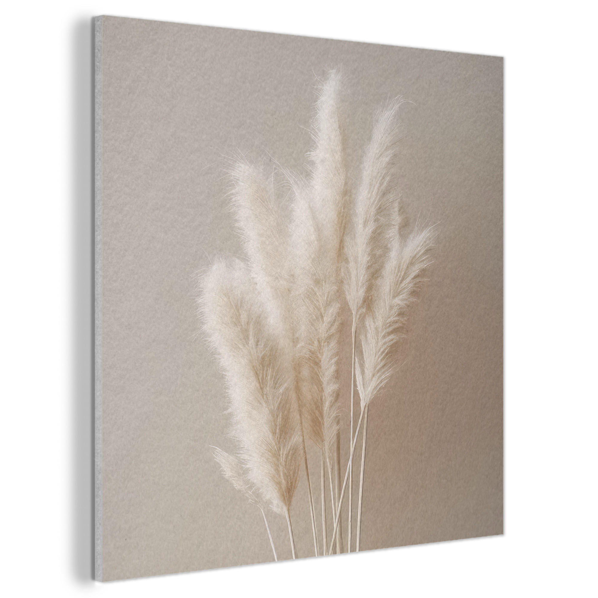 AKUSTIKBILD Pampasgras - Federn - Pastell - Weiß Akustikpaneele 90x90 cm - Naturfarben, Kunststoff (90/90/0.9cm) - MuchoWow