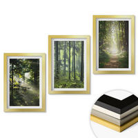 WANDBILDER 3er Set - 20x30 cm Goldrahmen - Grüne Wälder mit Lichtstrahlen - Goldfarben, Kunststoff (20/30cm) - ArtPrintCave