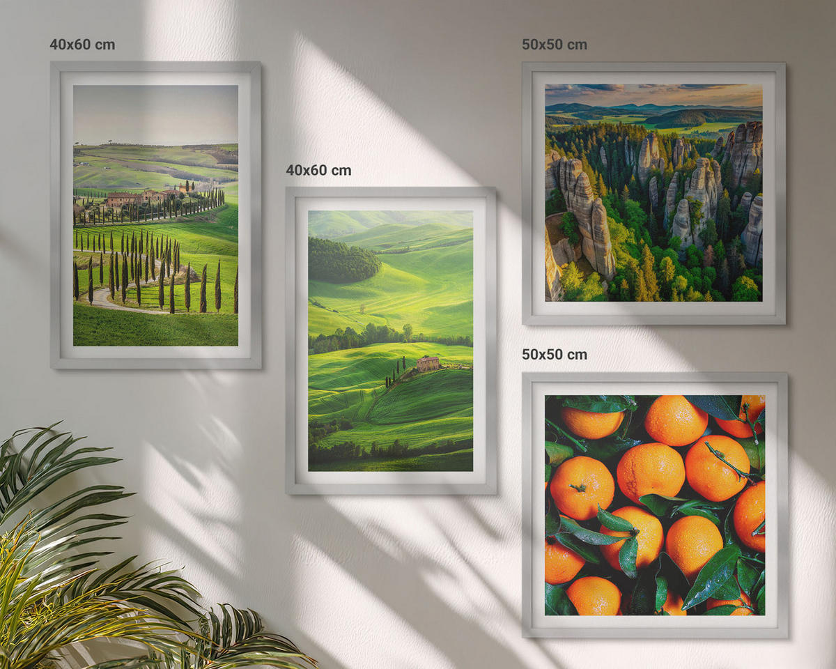 BILDER SET 4er Set - 50x50 cm & 40x60 cm Silberner Rahmen - Italienische Landschaft Orangen Natur - Silberfarben, Kunststoff (50/50cm) - TULUP