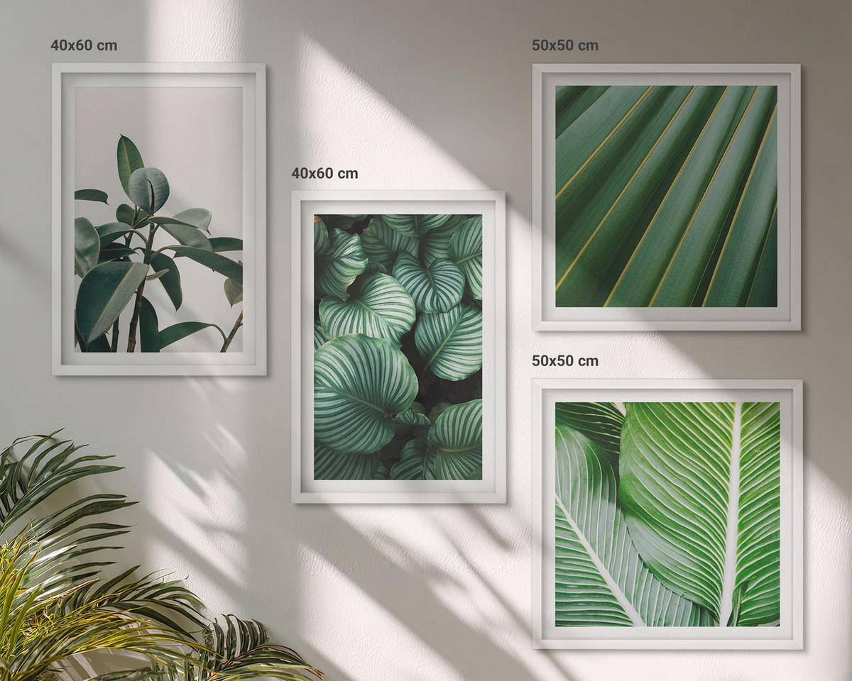 WANDBILDER 4er-Set - 50x50 cm & 40x60 cm Weißer Rahmen - Tropische Blätter in Grün - Weiß, Kunststoff (50/50cm) - ArtPrintCave