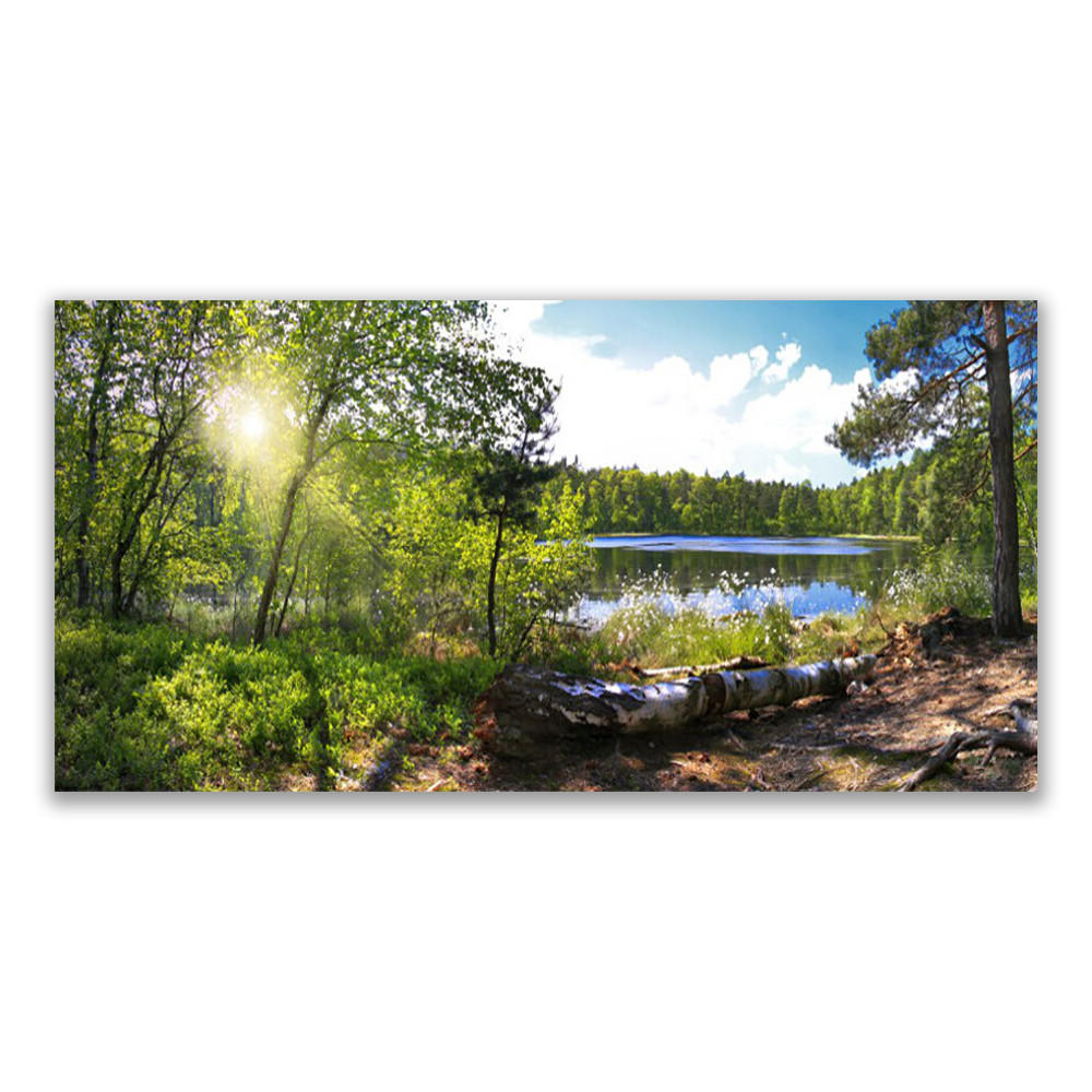 LEINWANDBILD 120x60 cm See im Wald - Hellblau/Grau, Textil (120/4cm) - TULUP