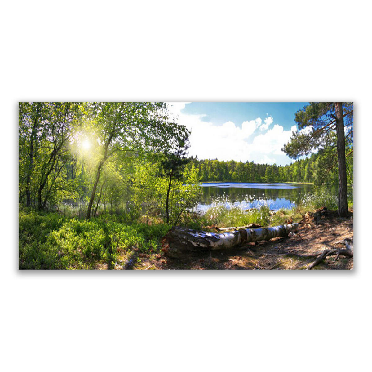 LEINWANDBILD 120x60 cm See im Wald - Hellblau/Grau, Textil (120/4cm) - TULUP