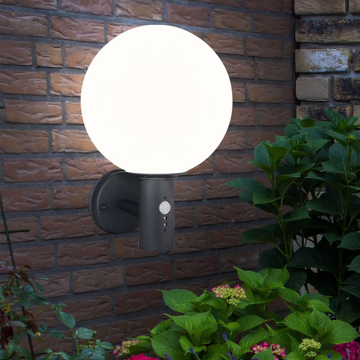 LED AUSSEN-WANDLEUCHTE OSSY Anthrazit Glas - Anthrazit, Glas (26.5/37/25cm) - Globo Lighting