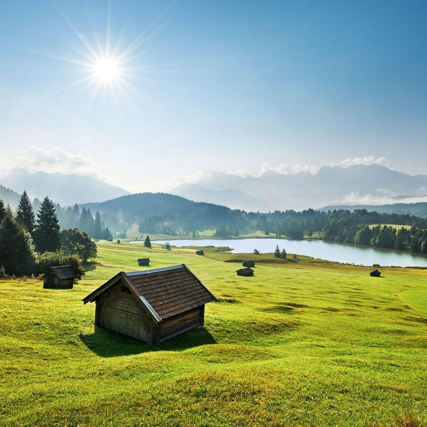 FOTOTAPETE Alpen 450 x 280 cm - Grün, Papier (450/280cm) - Sanders & Sanders
