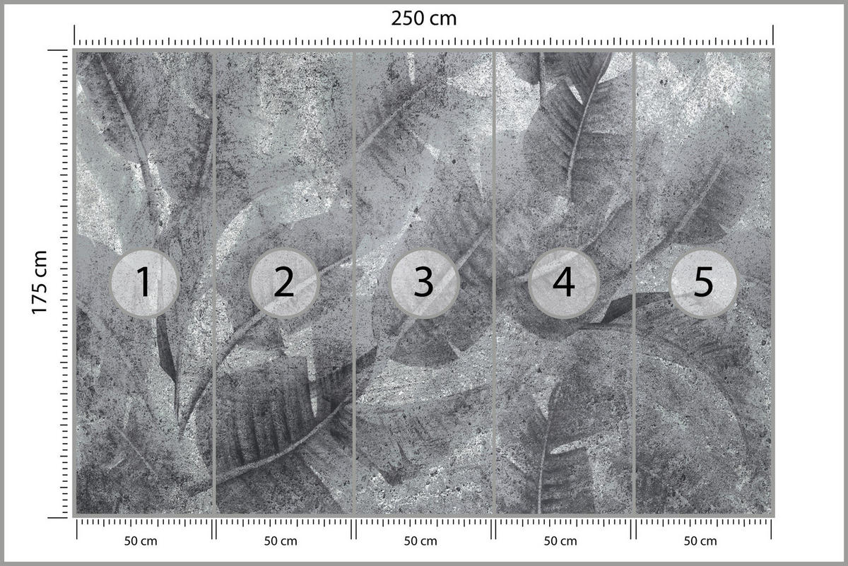 FOTOTAPETE Blätter auf Beton Abstraktion Vintage 250x175 - Grau, Papier (250/175cm) - Muralo