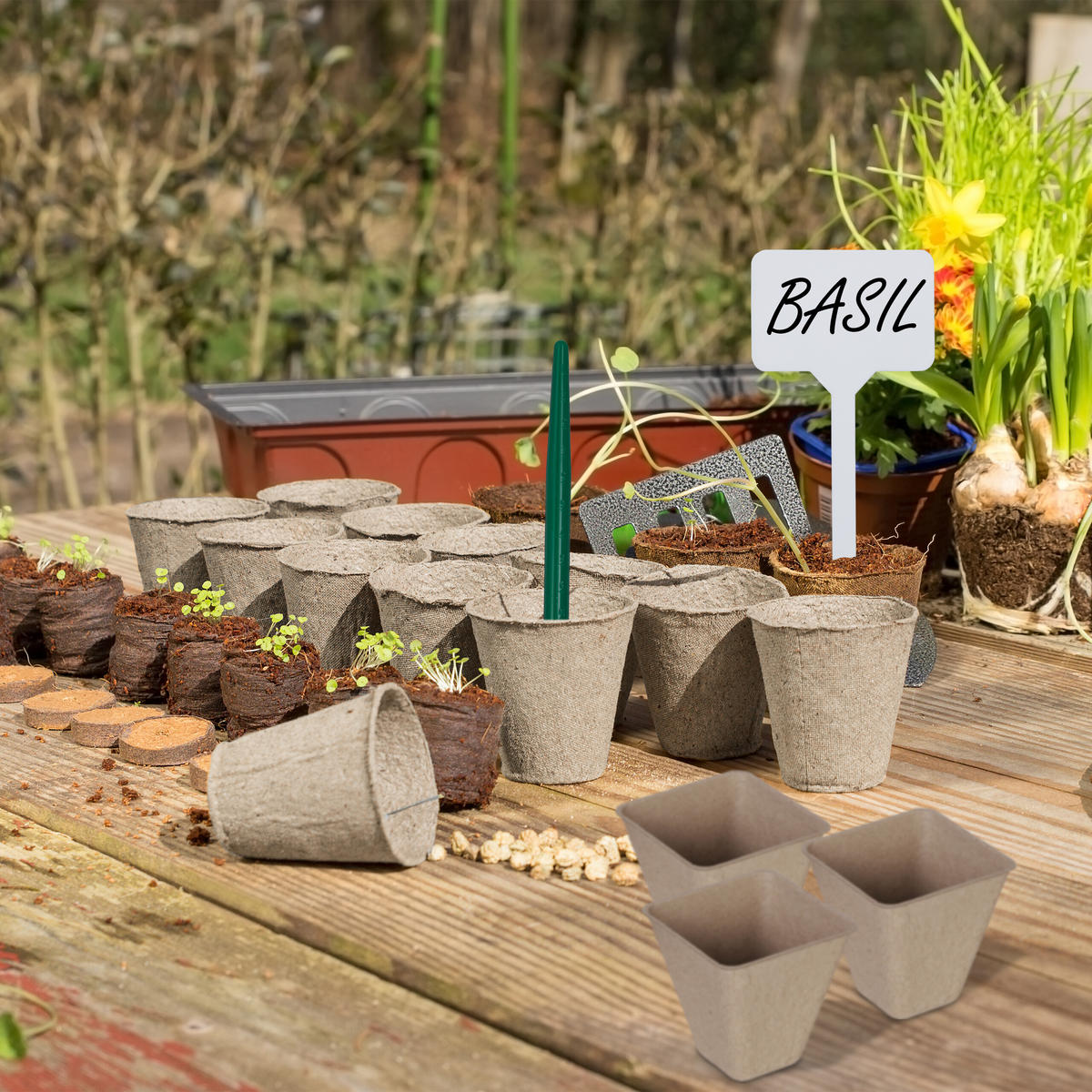 96XSAKSIJE za sadnice - višebojno, papir/plastika (8/8/8cm) - Relaxdays