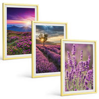 BILDER SET 3er Set - 40x60 cm Goldrahmen - Sonnenuntergang auf Lavendelfeldern - Goldfarben, Kunststoff (40/60cm) - TULUP