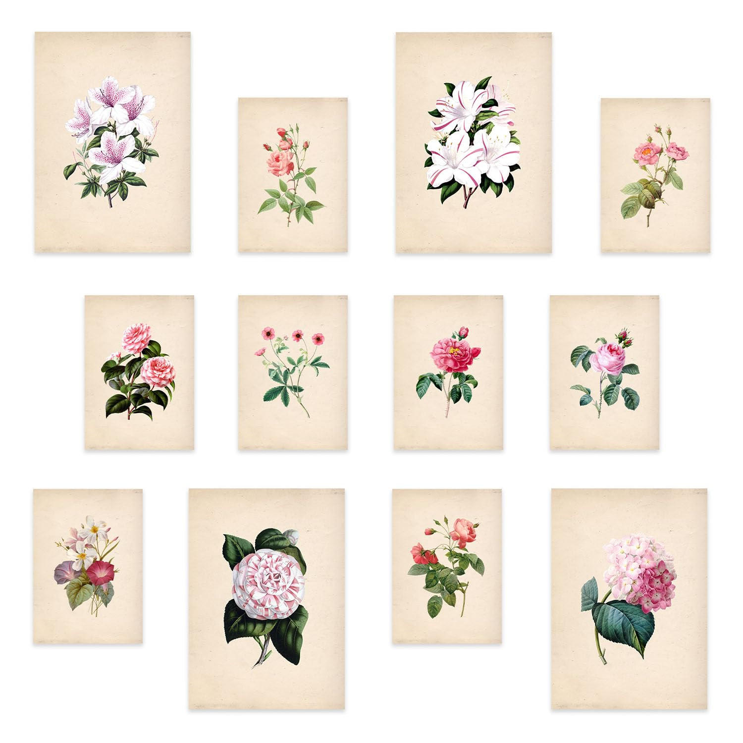 POSTER Set Mit 12 Rosa Blumen A3 Rahmenlos - Klar, Papier (29.7/5/42cm) - Nacnic