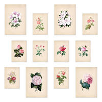 POSTER Set Mit 12 Rosa Blumen A3 Rahmenlos - Klar, Papier (29.7/5/42cm) - Nacnic