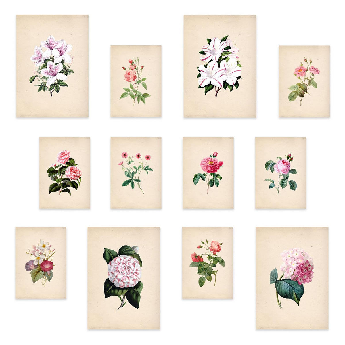 POSTER Set Mit 12 Rosa Blumen A3 Rahmenlos - Klar, Papier (29.7/5/42cm) - Nacnic